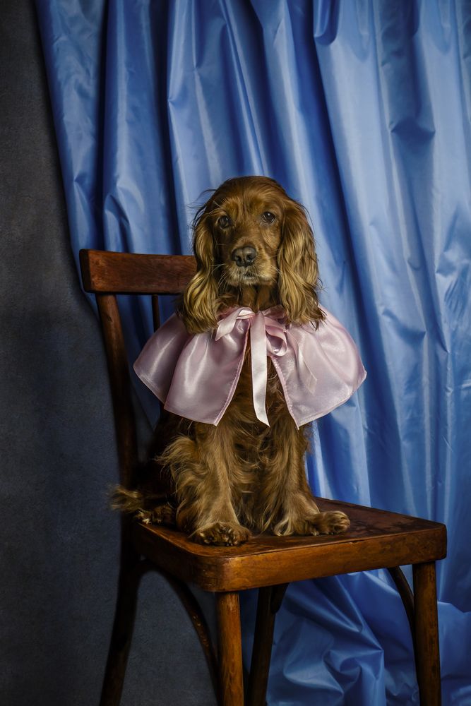 Photograph by Victoria Mogulyan