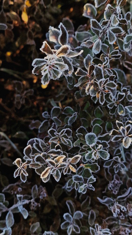 Photograph by Дарья Агапова