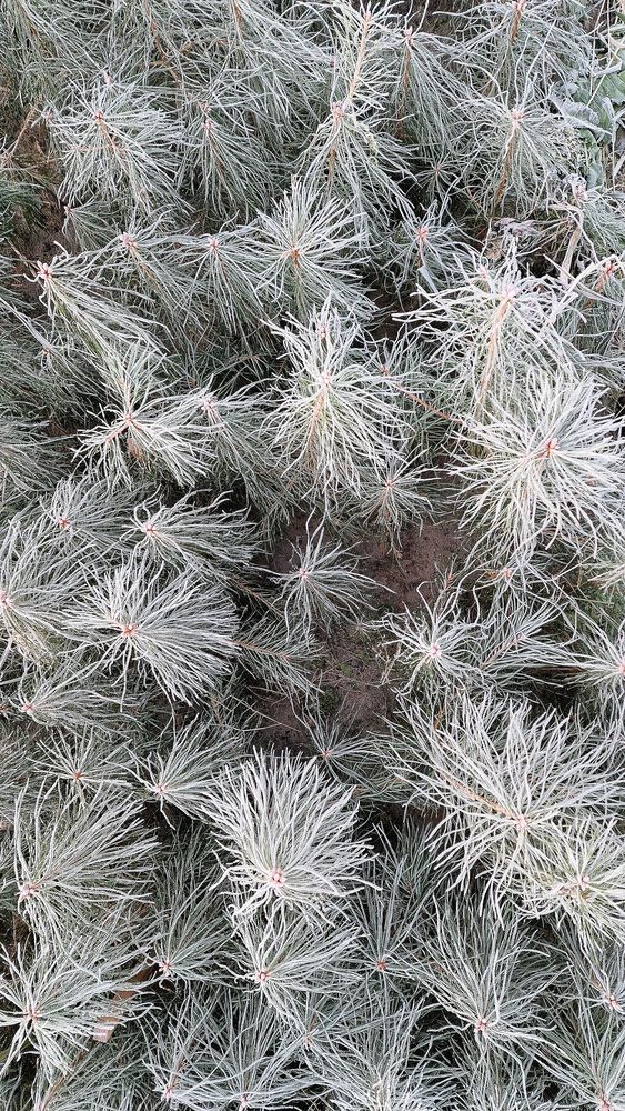 Photograph by Дарья Агапова