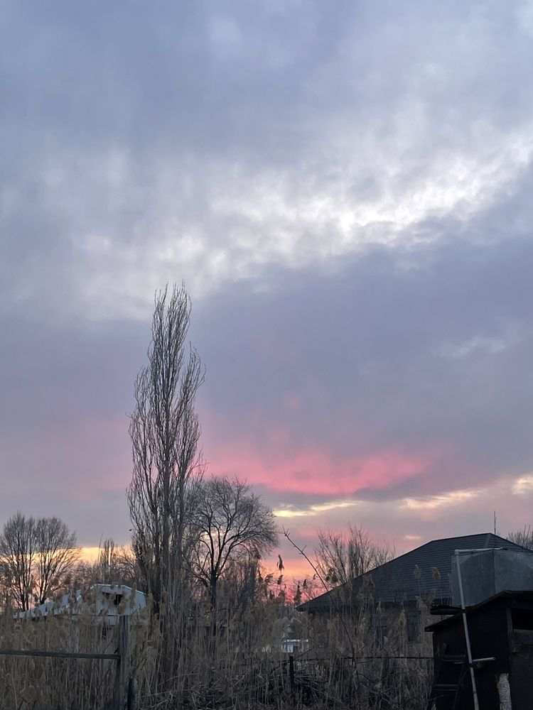 Photograph by Дарья Ларченко