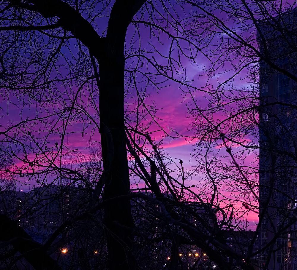 Photograph by Вячеслав Волосников