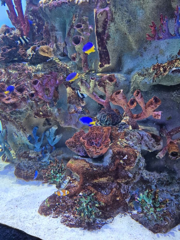 Фотография автора Валентина