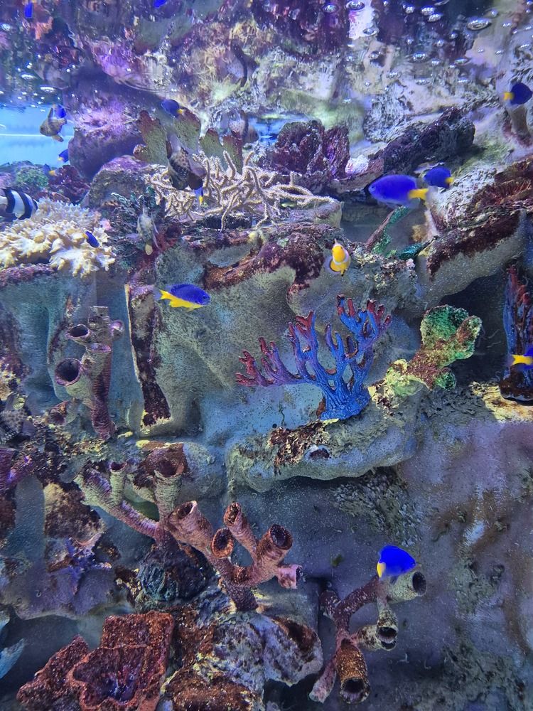 Фотография автора Валентина