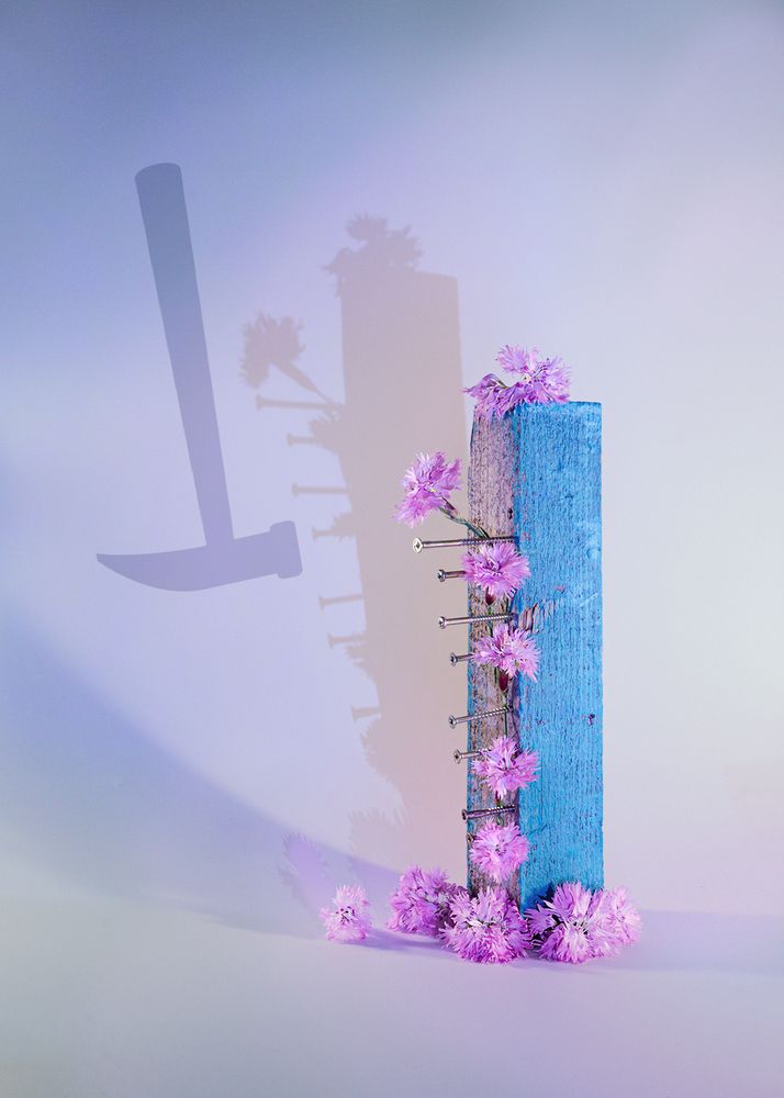 ГвоздИки, гвОздики и молоток...