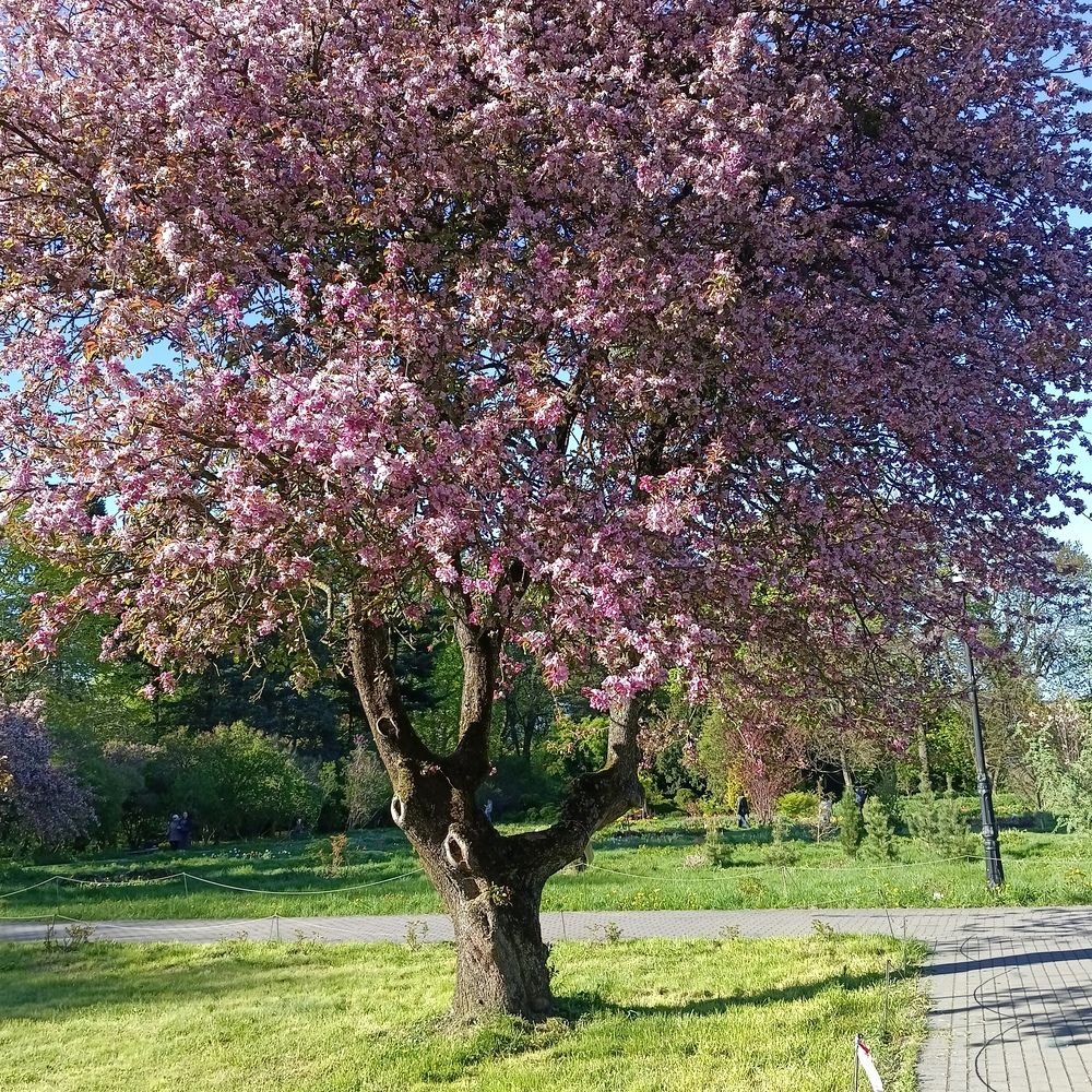 Photograph by Ирина Шведчикова