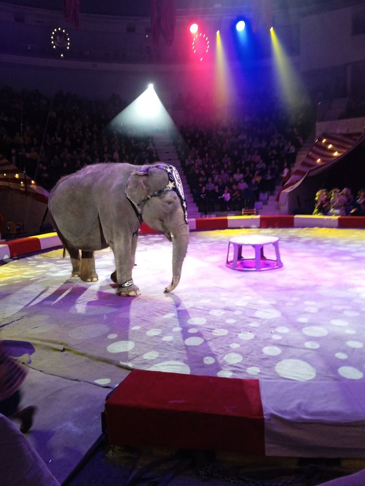 Photograph by Светлана