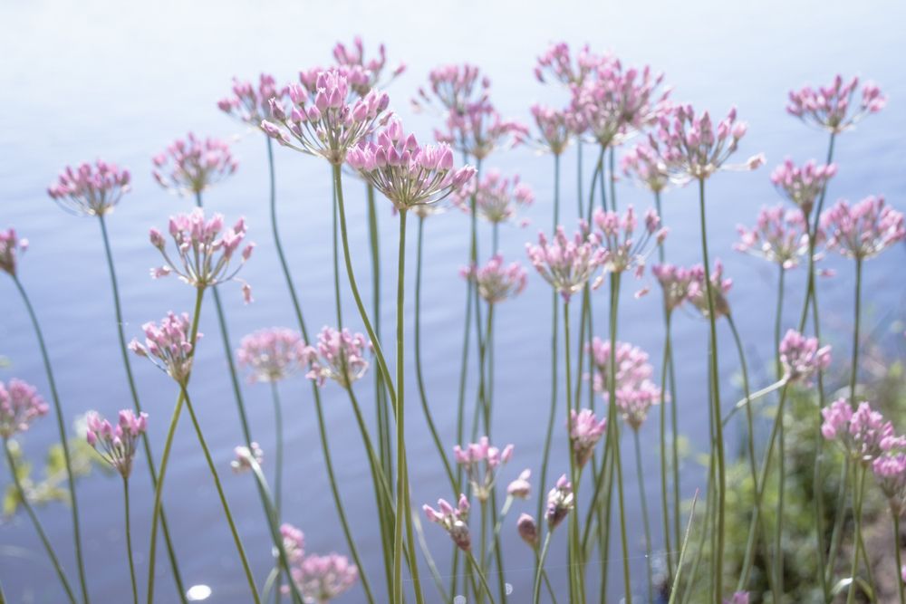 Photograph by Татьяна Романова