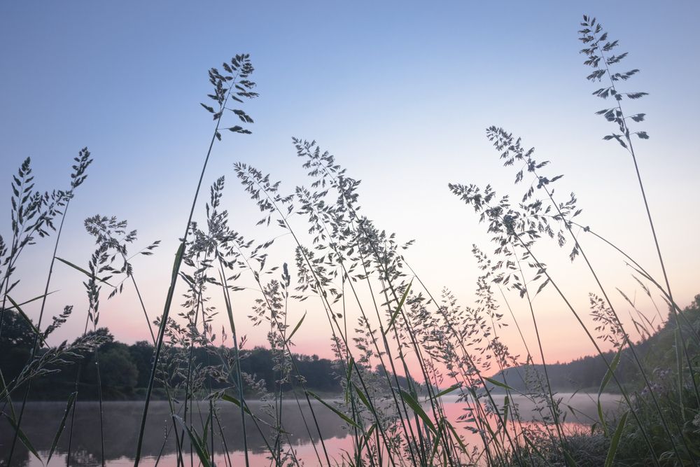 Photograph by Татьяна Романова