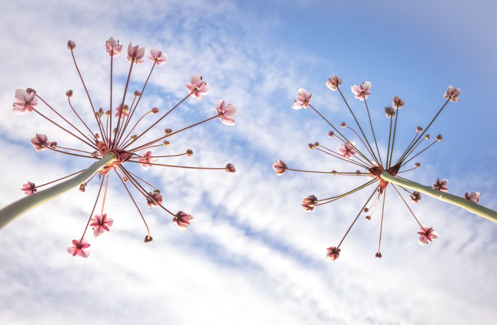 Photograph by Татьяна Романова