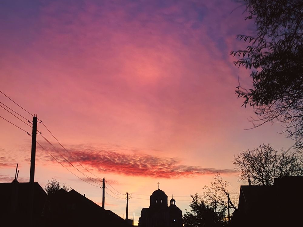 Photograph by Александра Пецевич