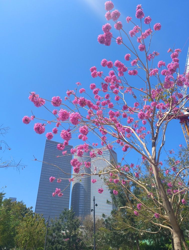 Фотография автора Oksana Podgorodetska