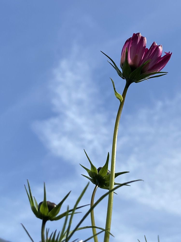 Photograph by Елена