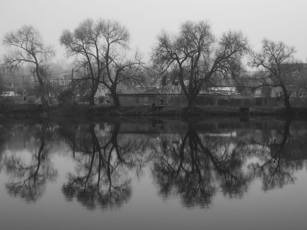 Photograph by Дмитрий Давидов