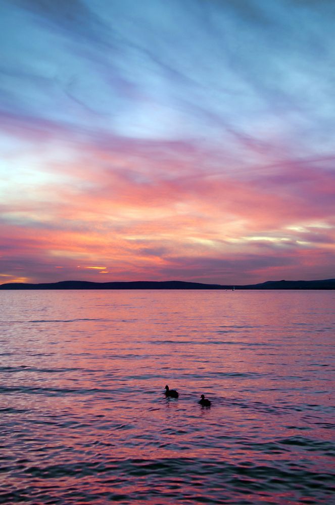 Кратковременная победа розового цвета