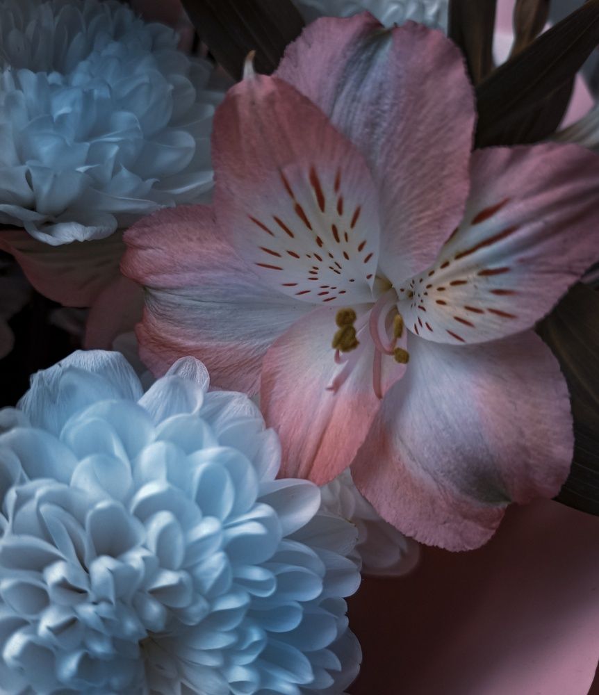 Фотография автора Ольга Кунакова