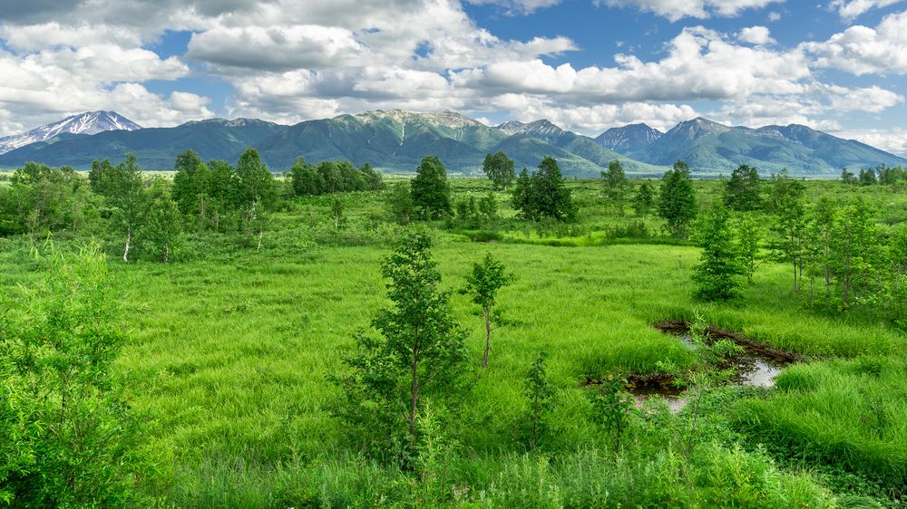 Фотография автора Жора Житников