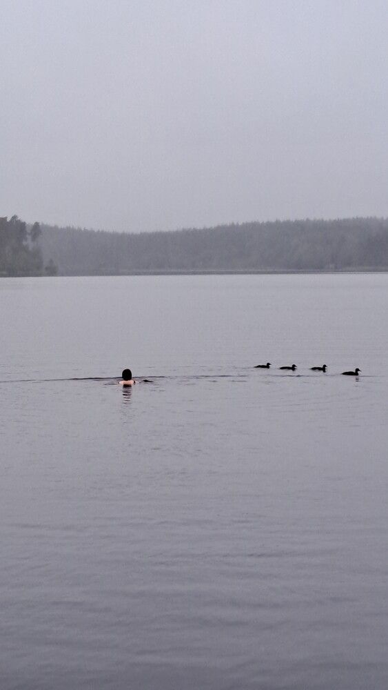 Photo #12836071