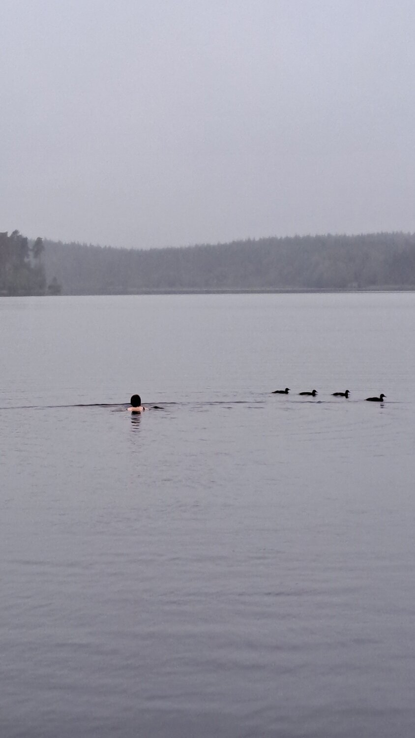 Photo #12836071