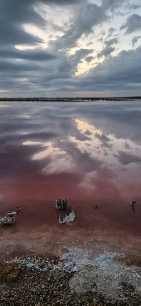Фотография автора Ольга Мусина