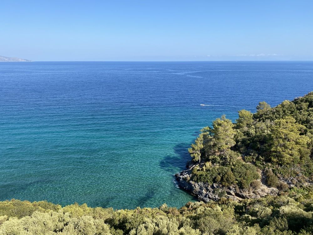 Фотография автора Елена Чарковская