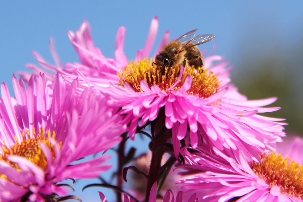 Photograph by Анна-Лаймуте Милошевич