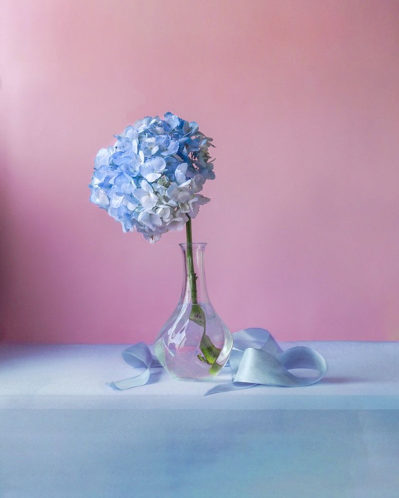 Photograph by Нина Кулинцева