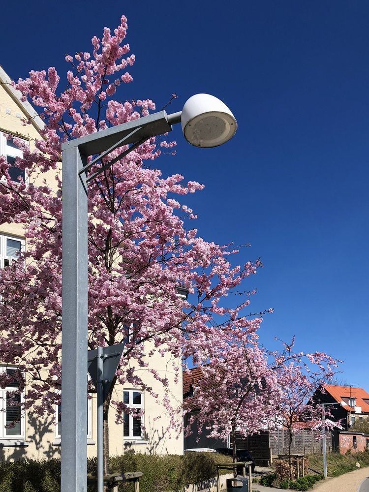 Photograph by Valentina Jegorova