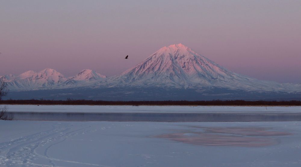 Photograph by Наталья Турчик
