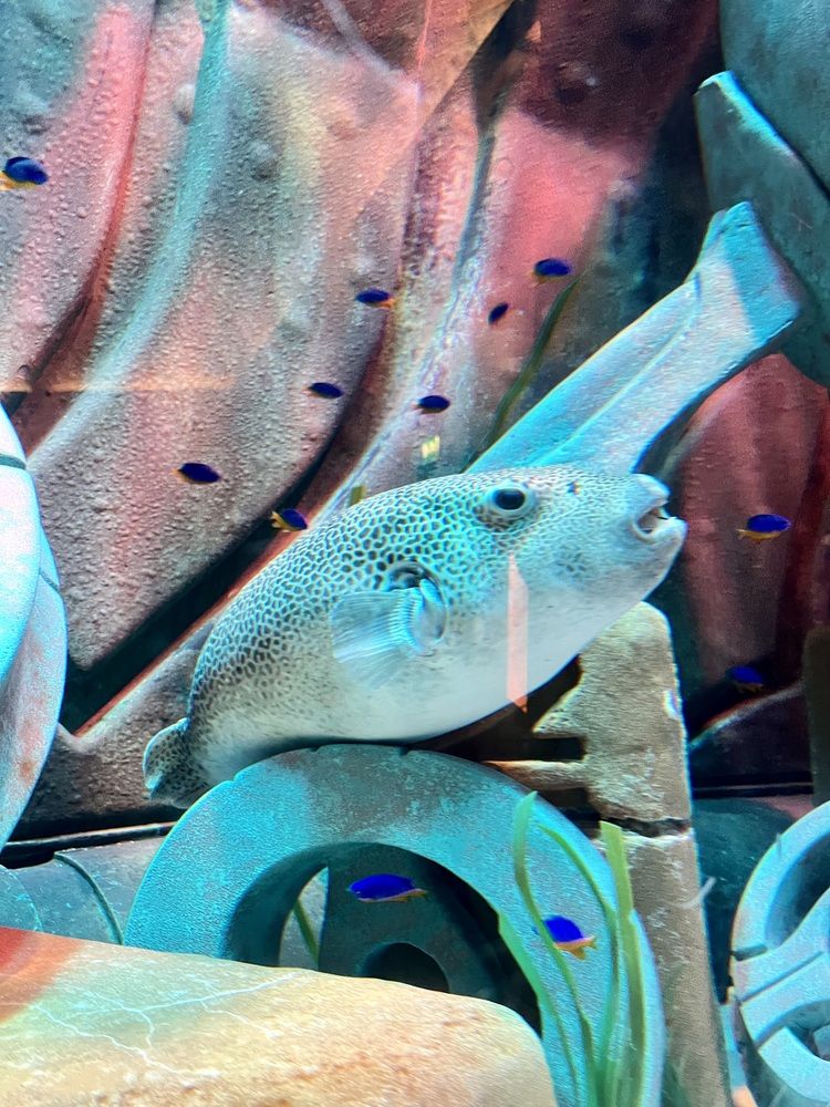 Photograph by Ольга Белоусова