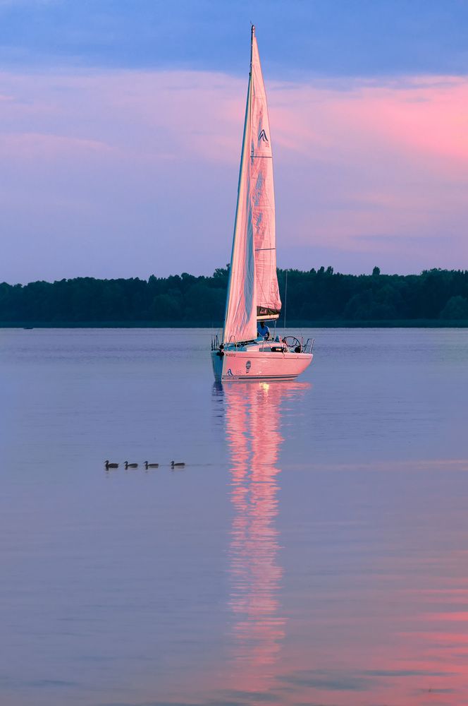 Photograph by Алексей Козлов