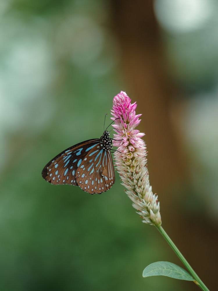 Photograph by Ирина Протченко