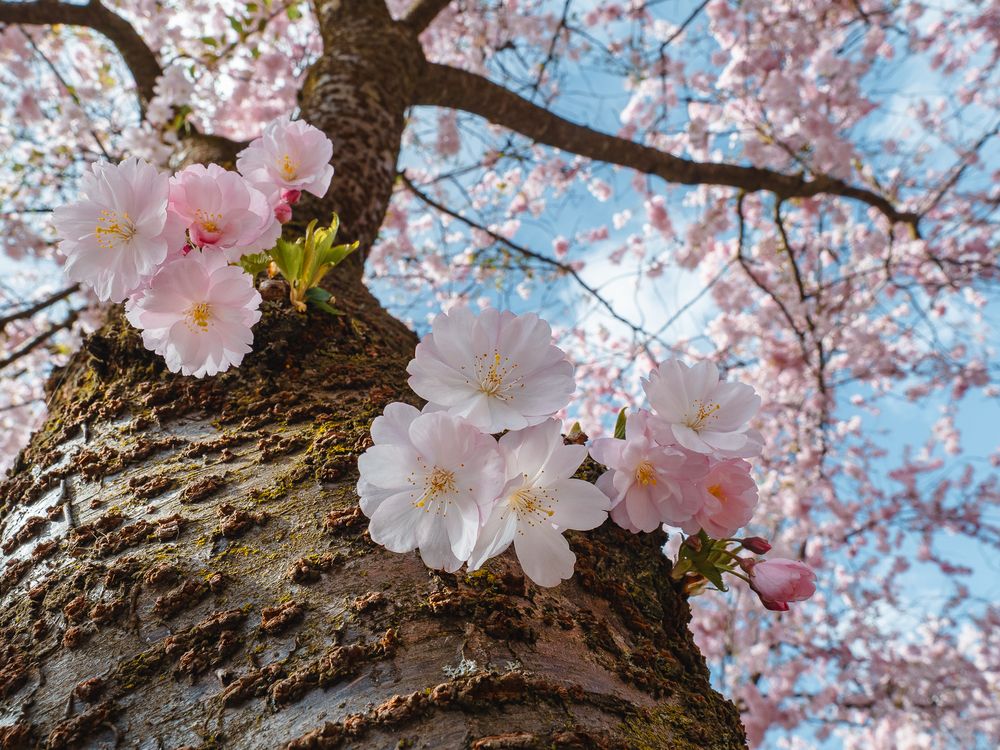 Photograph by Ирина Протченко