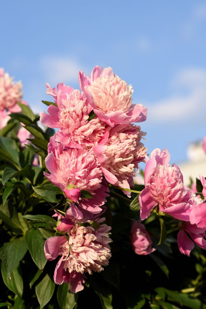 Photograph by Ирина Ященко