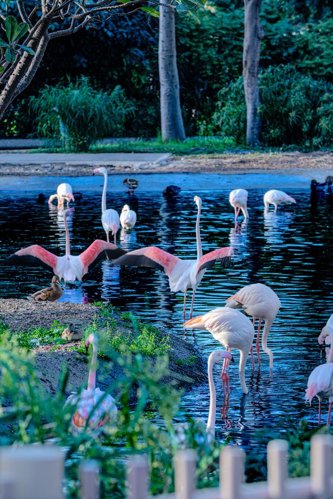 Фотография автора Sarrah Yehia