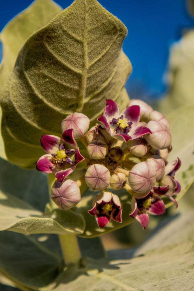 Фотография автора Sarrah Yehia