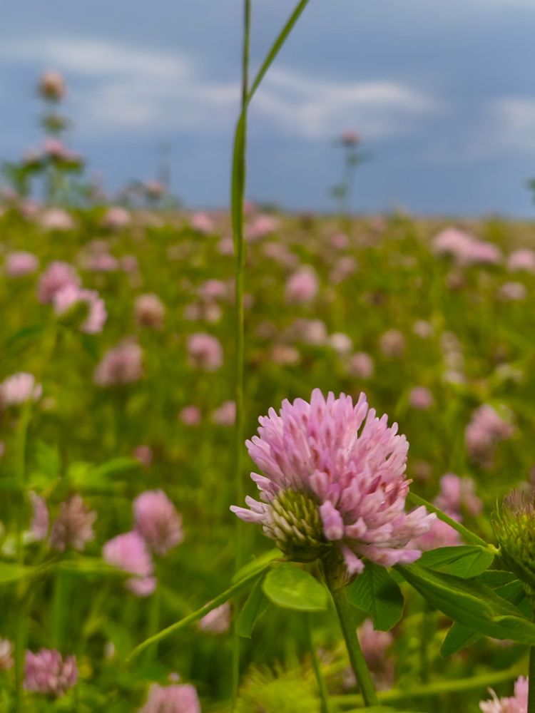 Photograph by Юлия Бурминская