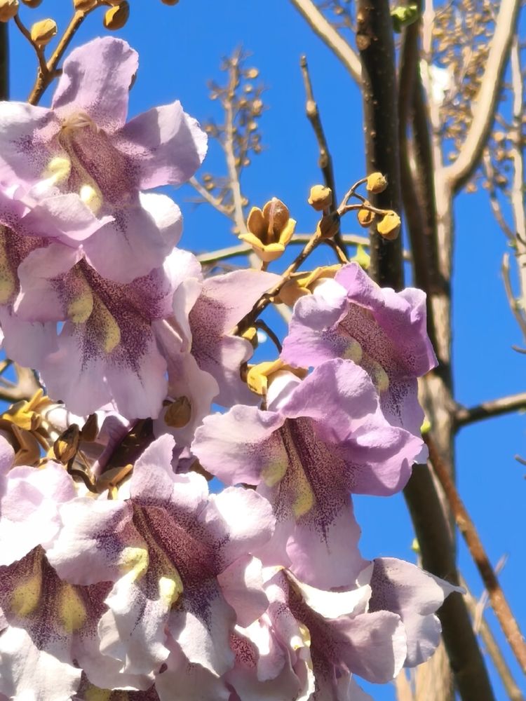 Photograph by Юлия Бурминская