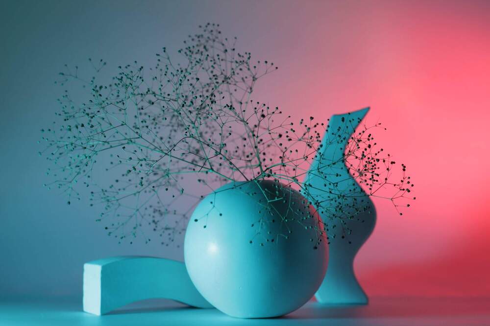 Photograph by Людмила Таерова