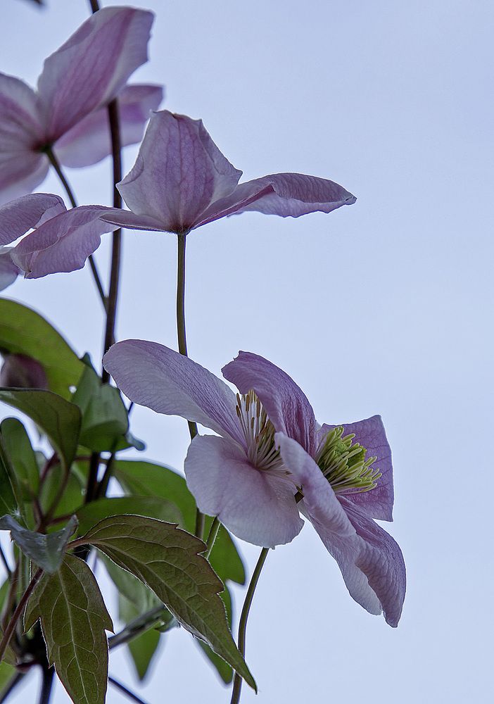 Фотография автора Александр