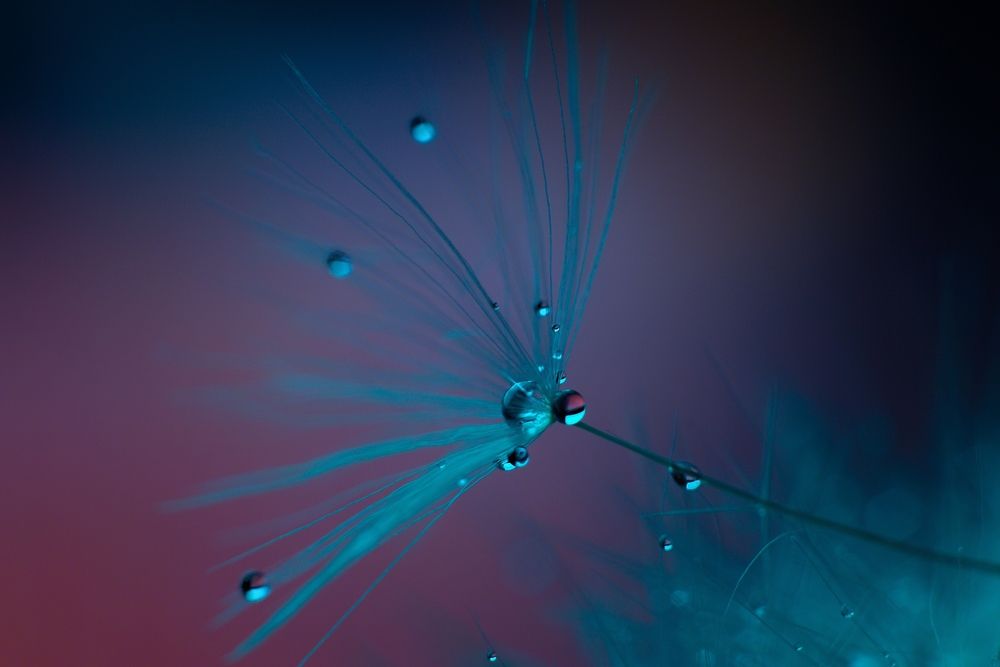 Photograph by Magic Helios