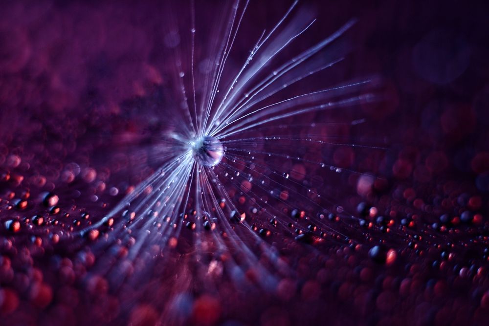 Photograph by Magic Helios