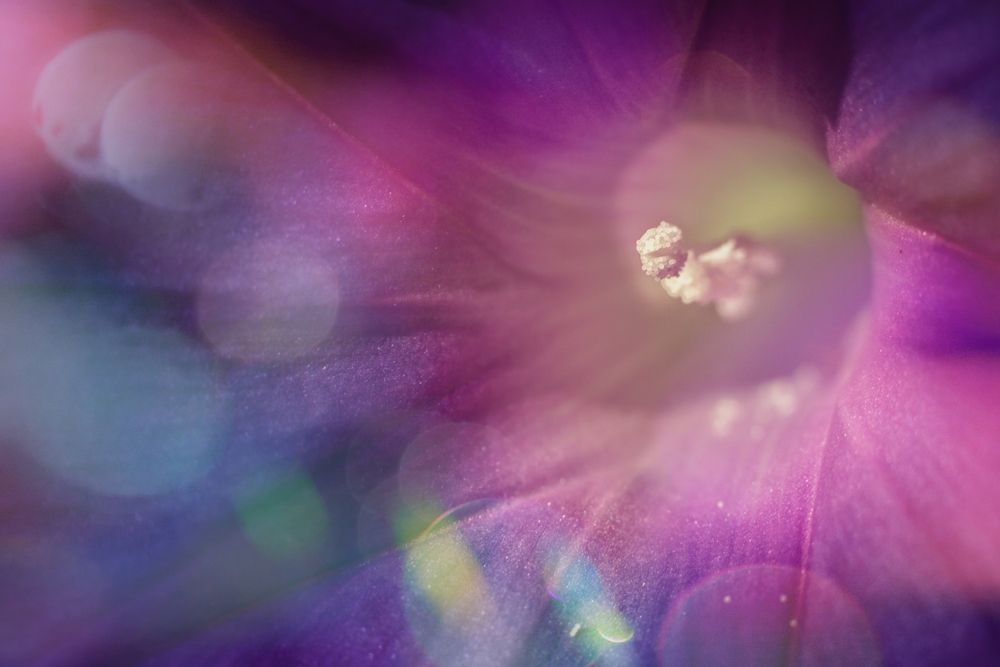 Photograph by Magic Helios