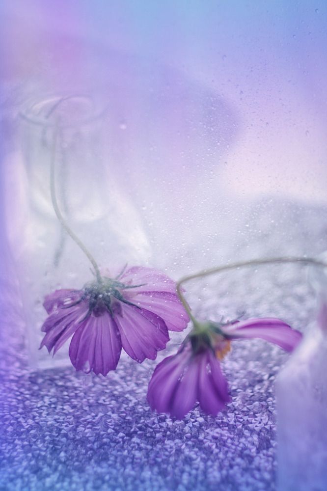 Photograph by Magic Helios