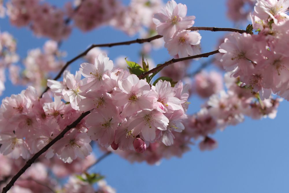 Photograph by Татьяна Сычёва