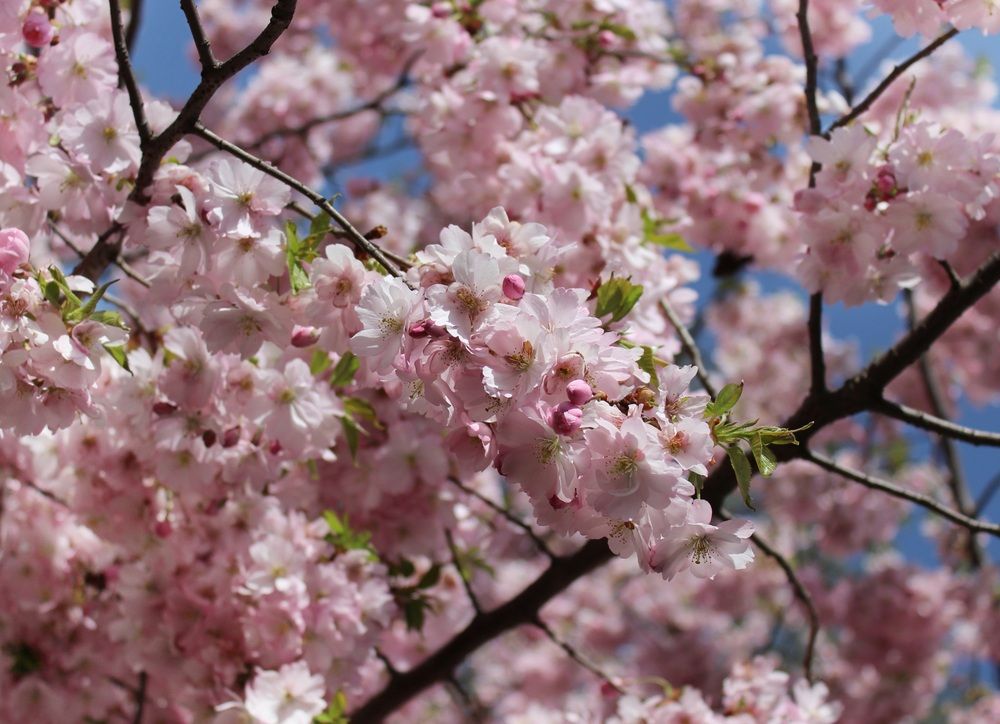 Photograph by Татьяна Сычёва