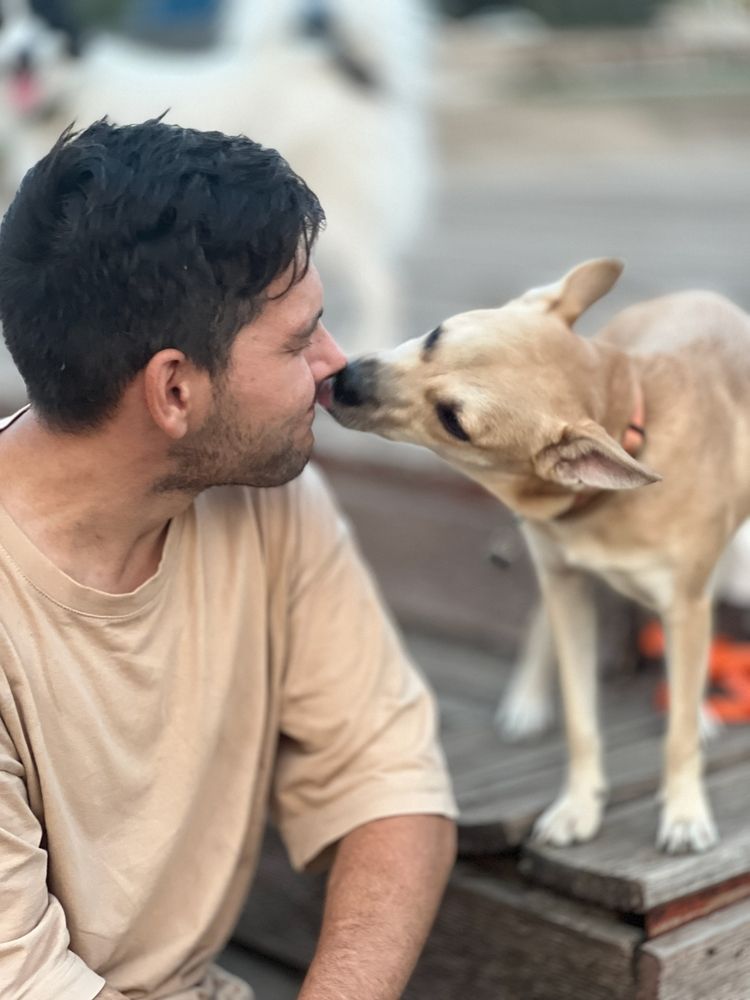 Photograph by Ирина