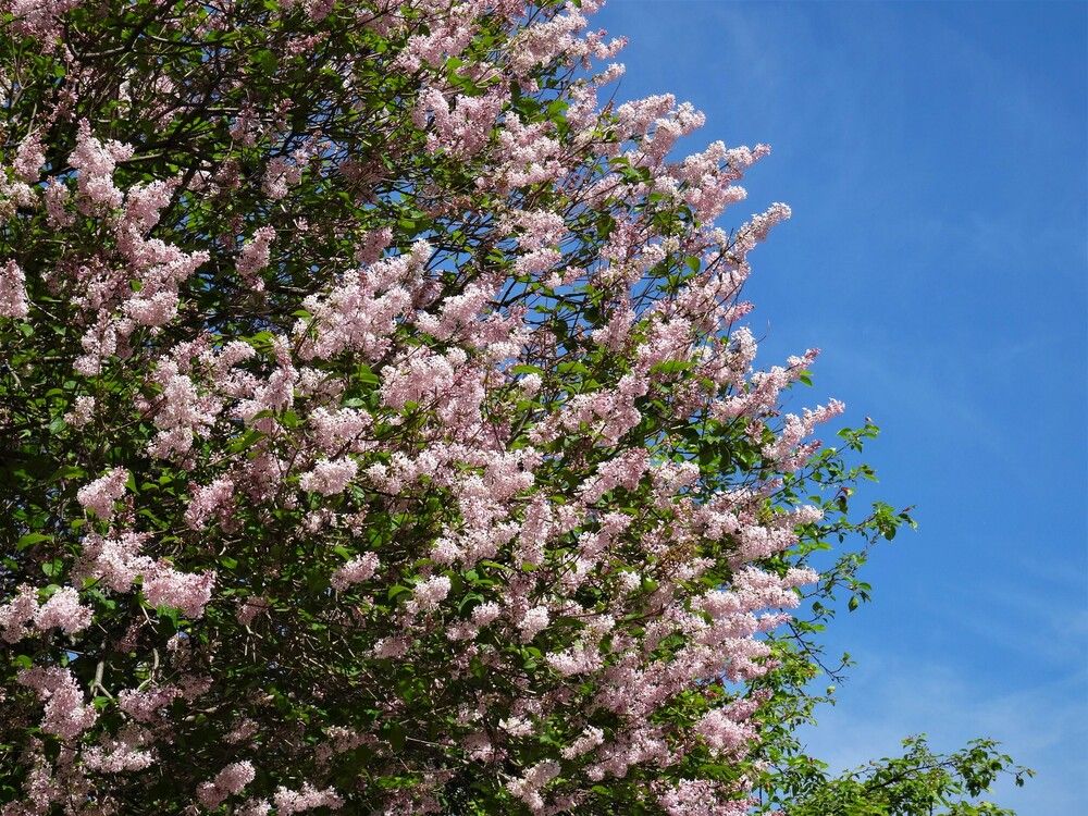 Photograph by Марина Раткун