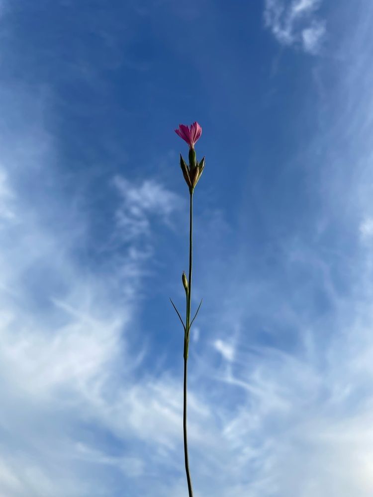 Photograph by Анна Пигулевская