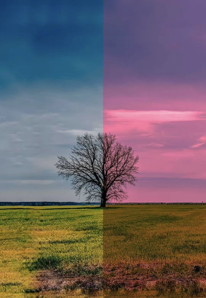 Photograph by Анна Пигулевская