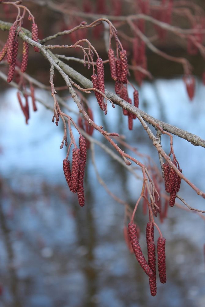 Photograph by Татьяна Сычёва